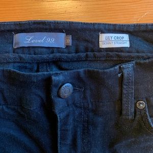 Level 99 Skinny Straight Jeans